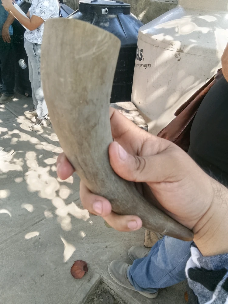 Image uploaded by Juan M