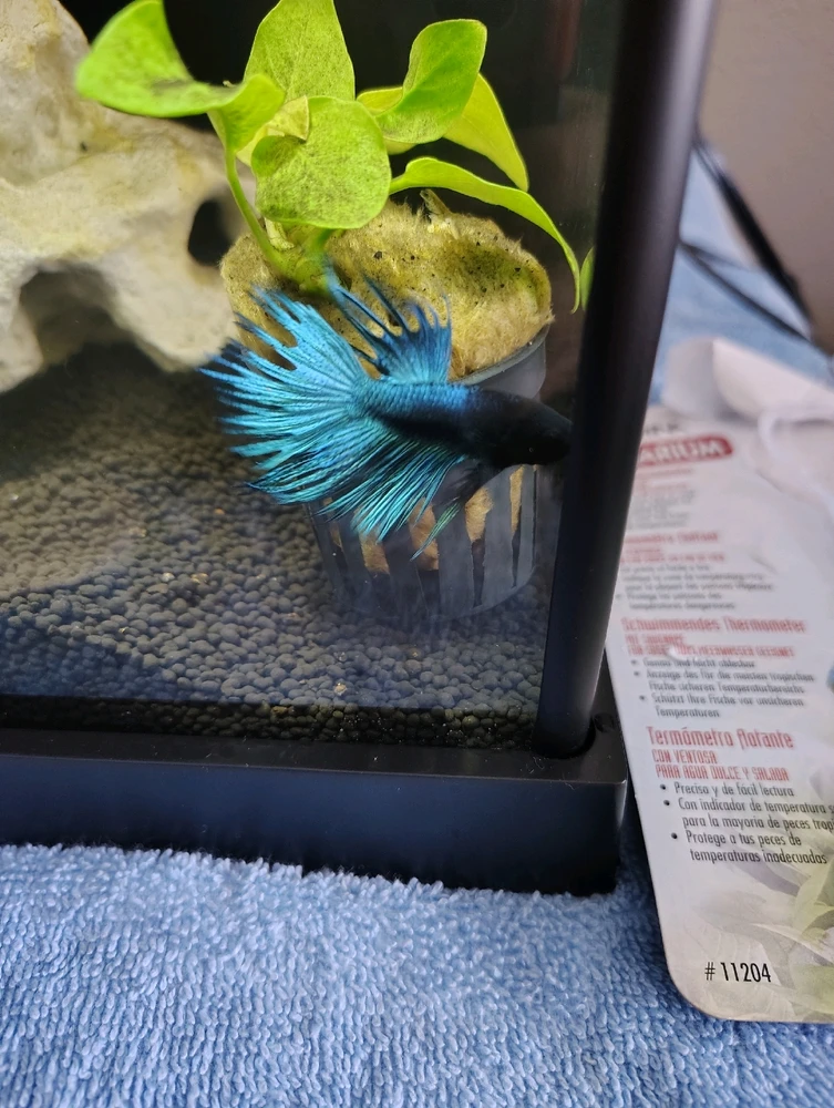 GIF uploaded by Samuel