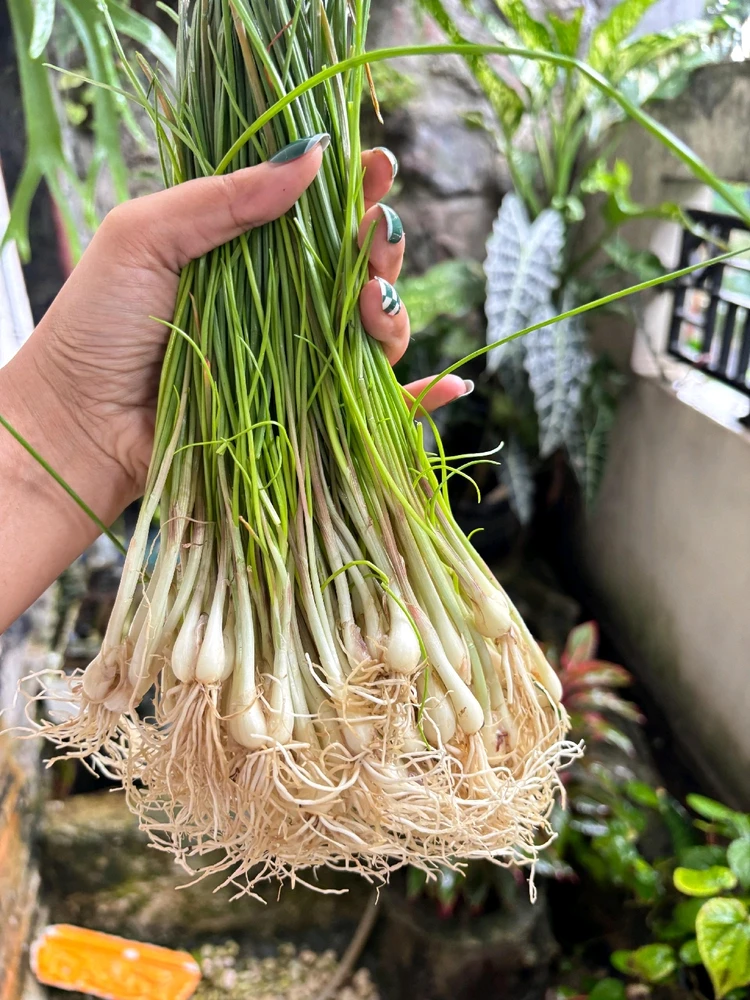 GIF diunggah dening Miss Dee