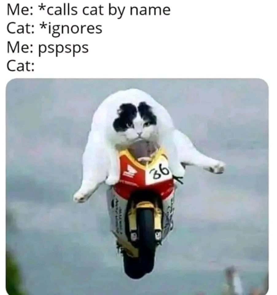 GIF uploaded by William