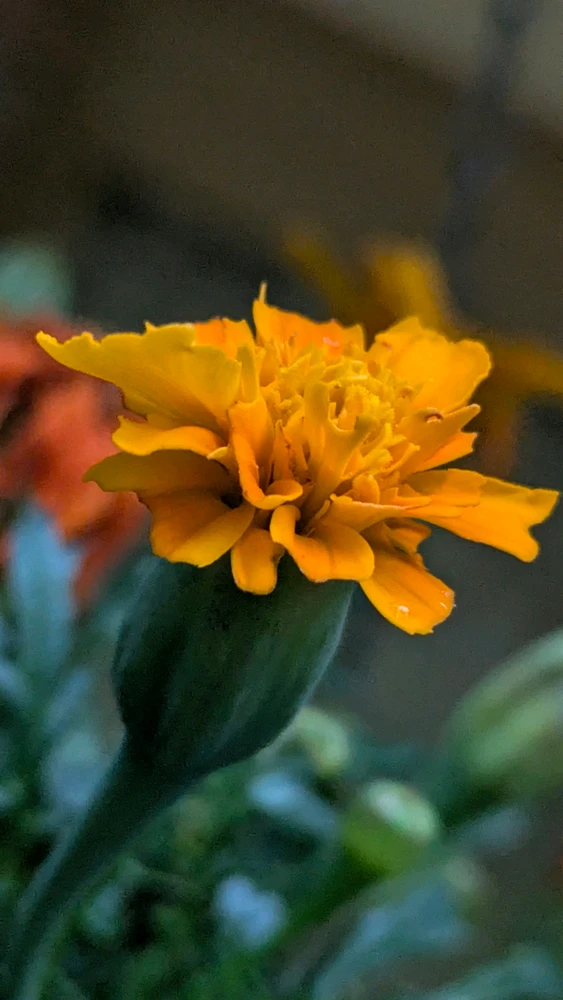 GIF uploaded by Chris