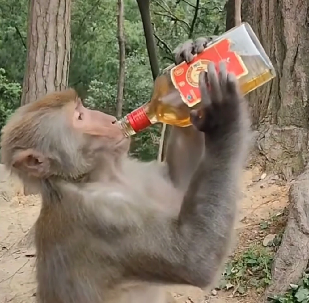 GIF uploaded by Leon