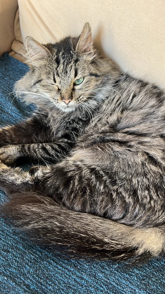 GIF enviado por Renan