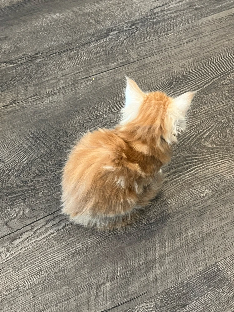 GIF uploaded by Jeremy