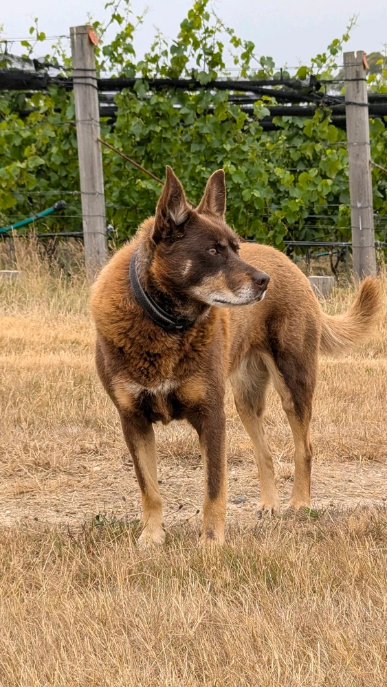 GIF uploaded by Chris