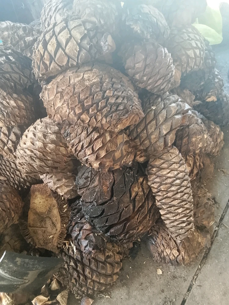 GIF uploaded by Juan M