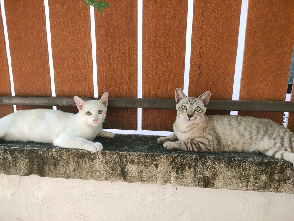 GIF uploaded by Jellyfish