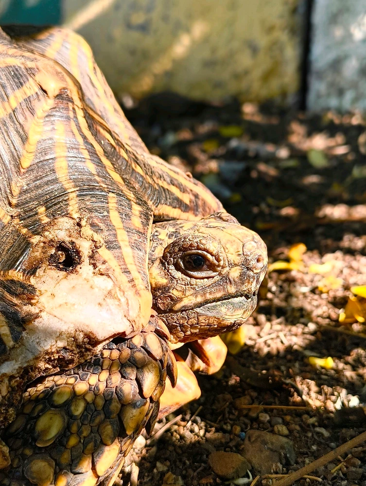 GIF uploaded by Gandharva