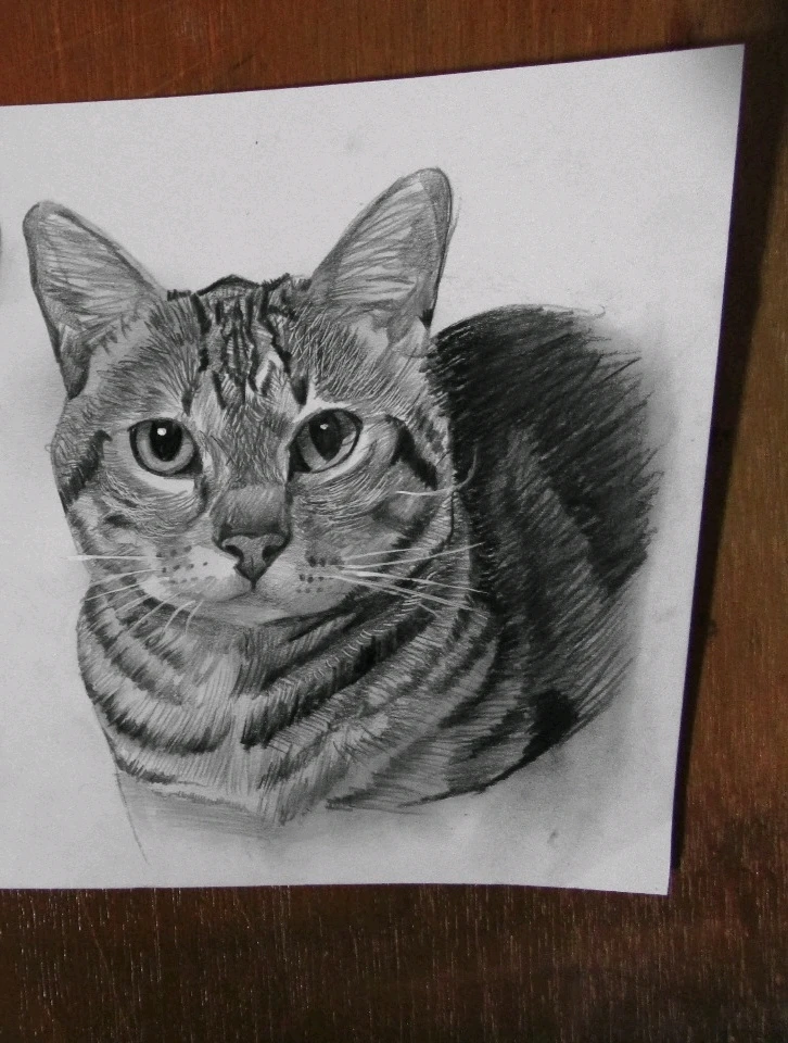 GIF subido por Daniel