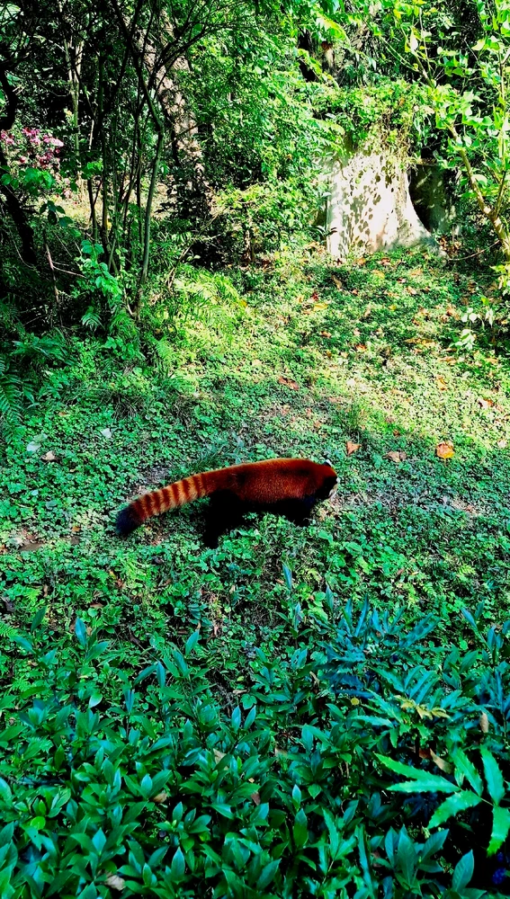 GIF uploaded by Nick