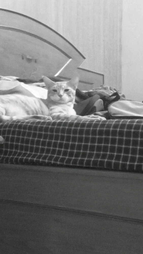 Image uploaded by Lakshya jain