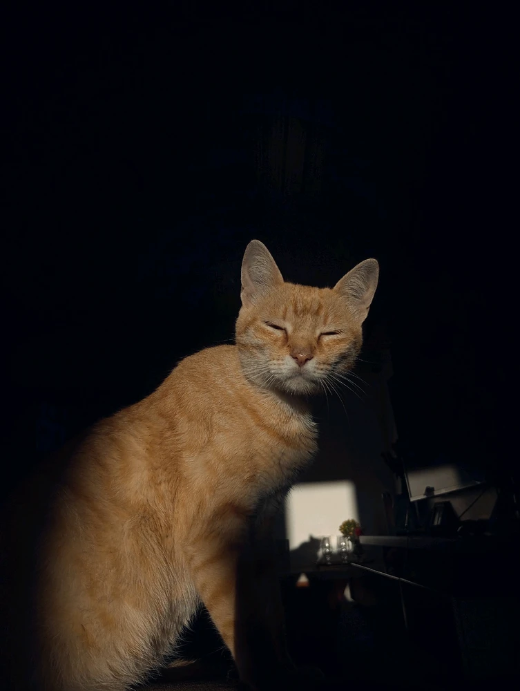 Imagem enviada por Isac Lisboa