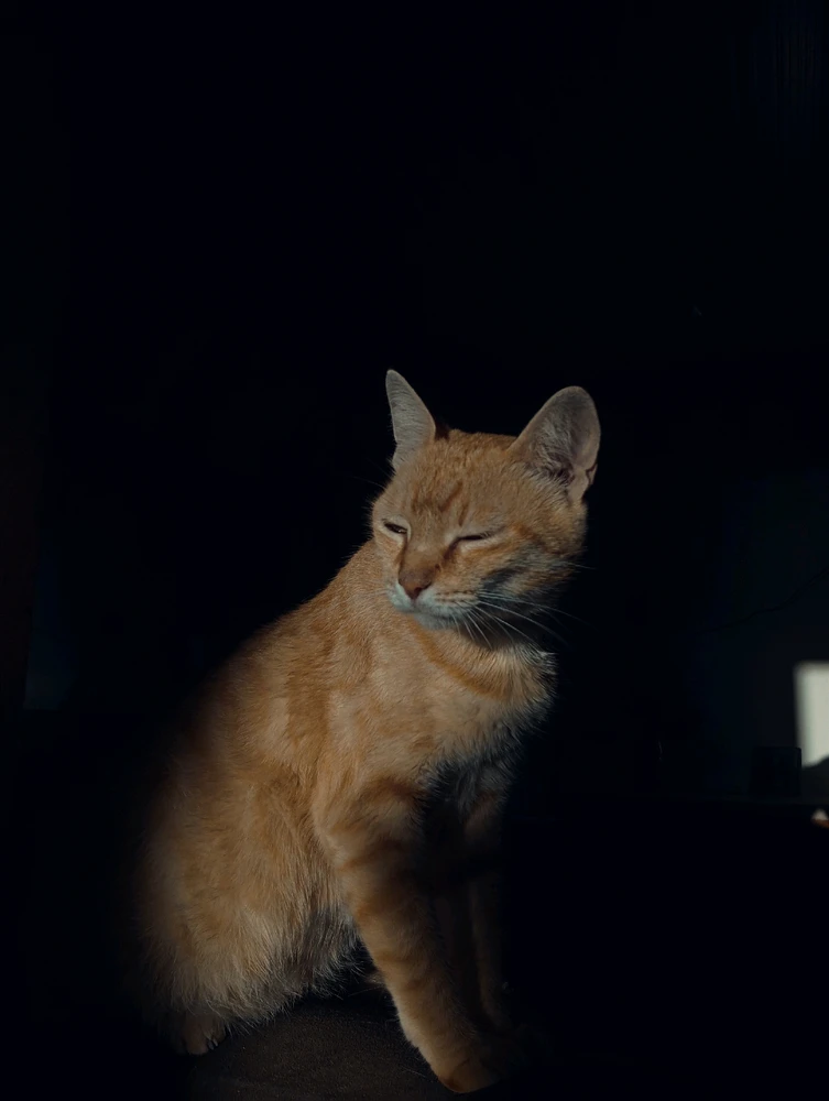 Imagem enviada por Isac Lisboa