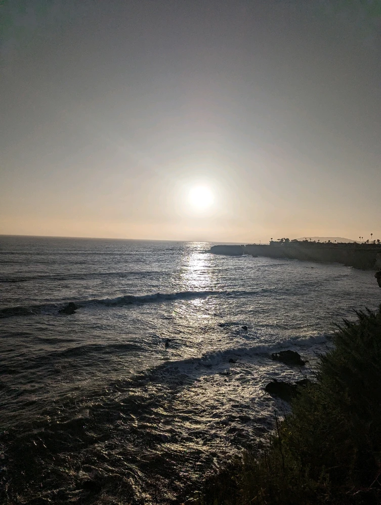 Image uploaded by Leo