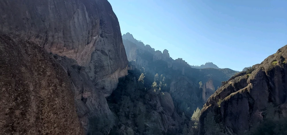 Image uploaded by Zack