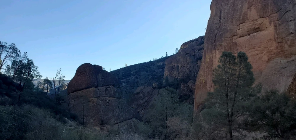 Image uploaded by Zack