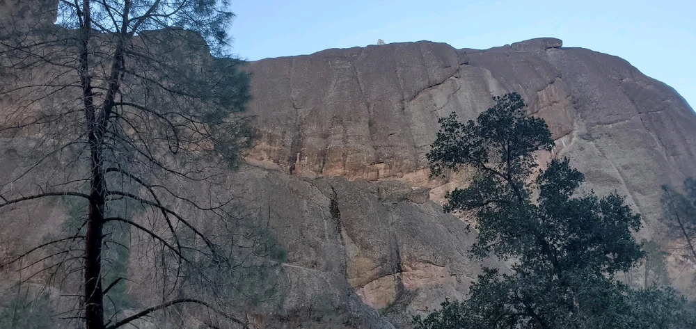 Image uploaded by Zack