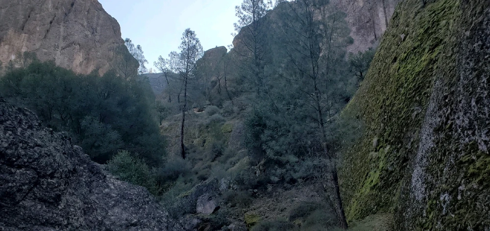 Image uploaded by Zack