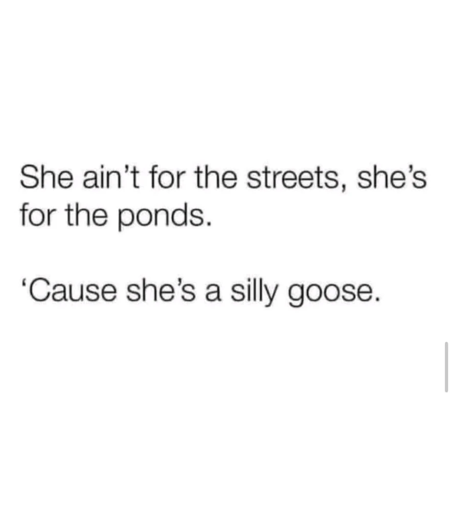 GIF uploaded by Stazi