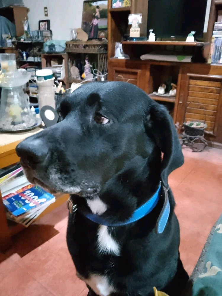 GIF uploaded by Juan M