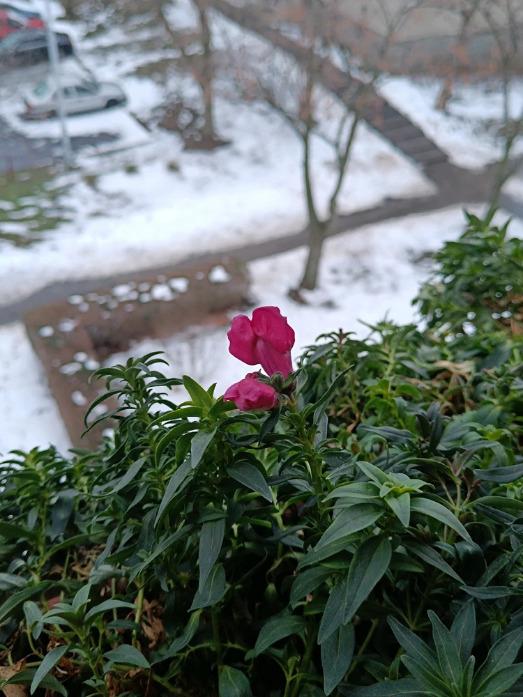 GIF uploaded by Zoli