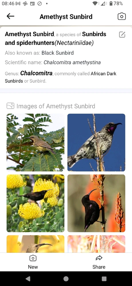 Image uploaded by CheffieGR