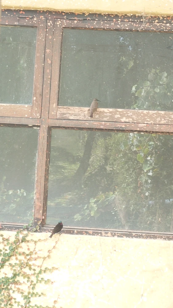 Image uploaded by CheffieGR