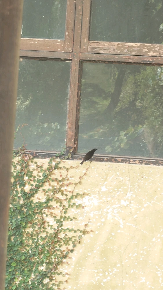 Image uploaded by CheffieGR