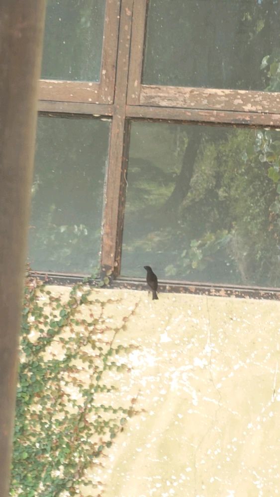 Image uploaded by CheffieGR