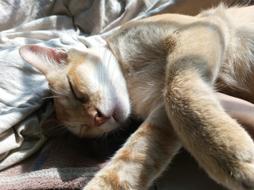 GIF uploaded by ikhfA