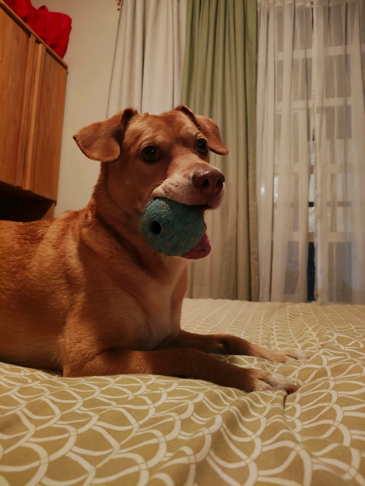 Imagen subida por Melvin