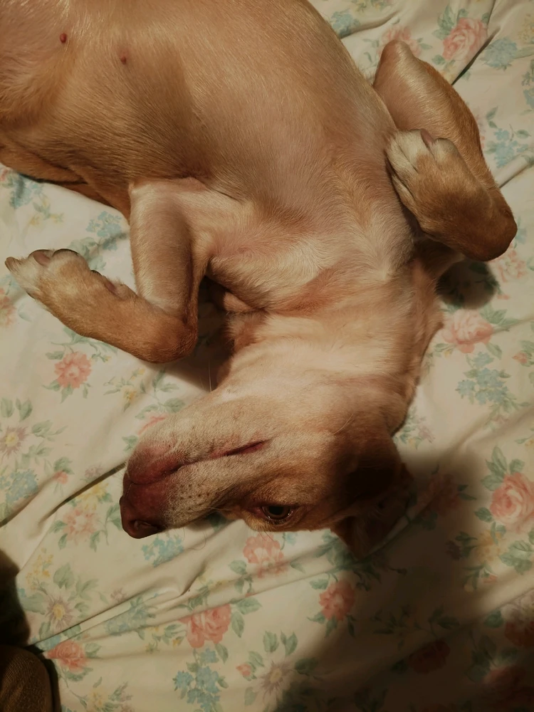 Imagen subida por Melvin