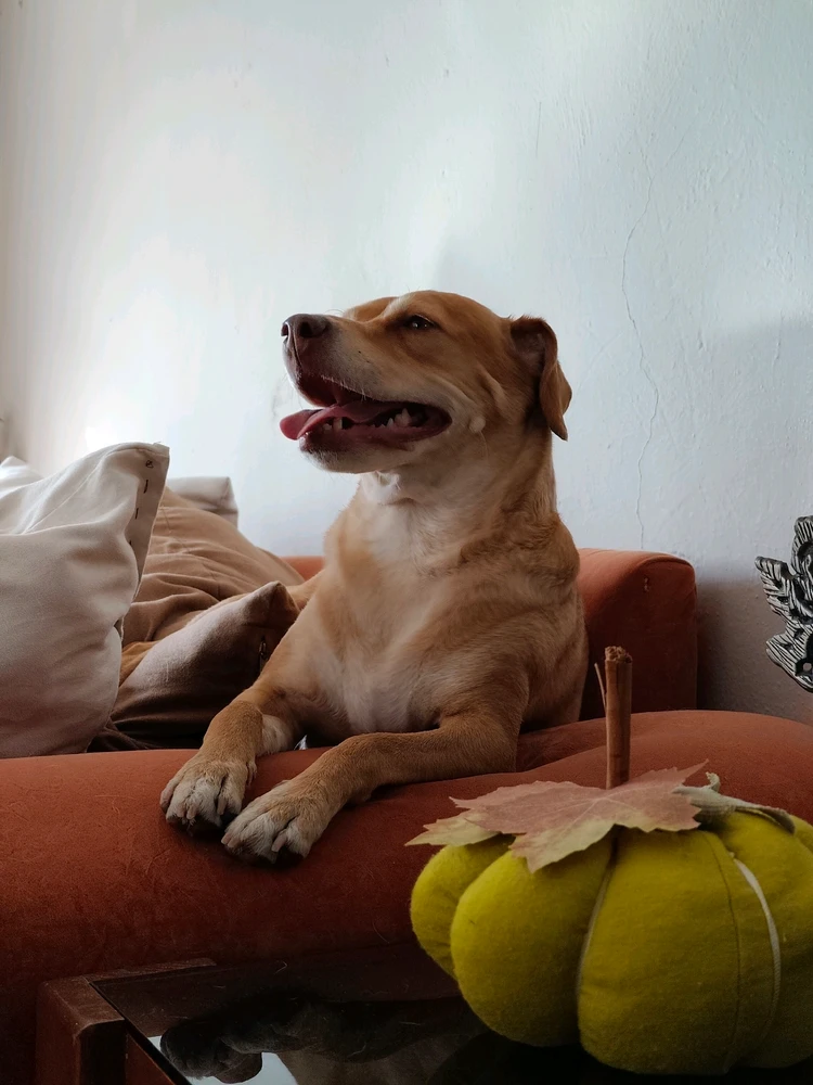 Imagen subida por Melvin