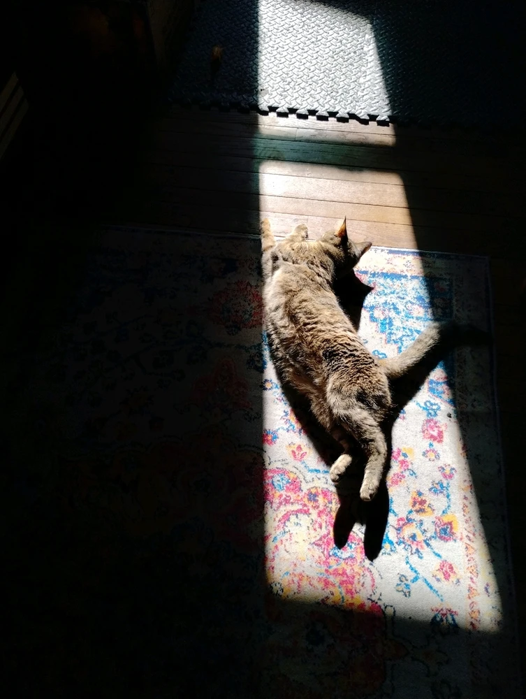 GIF uploaded by Ross