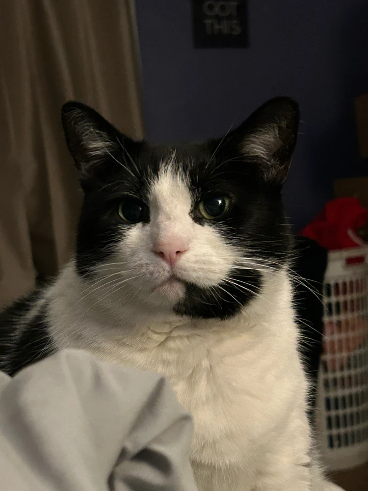 Image uploaded by Tate