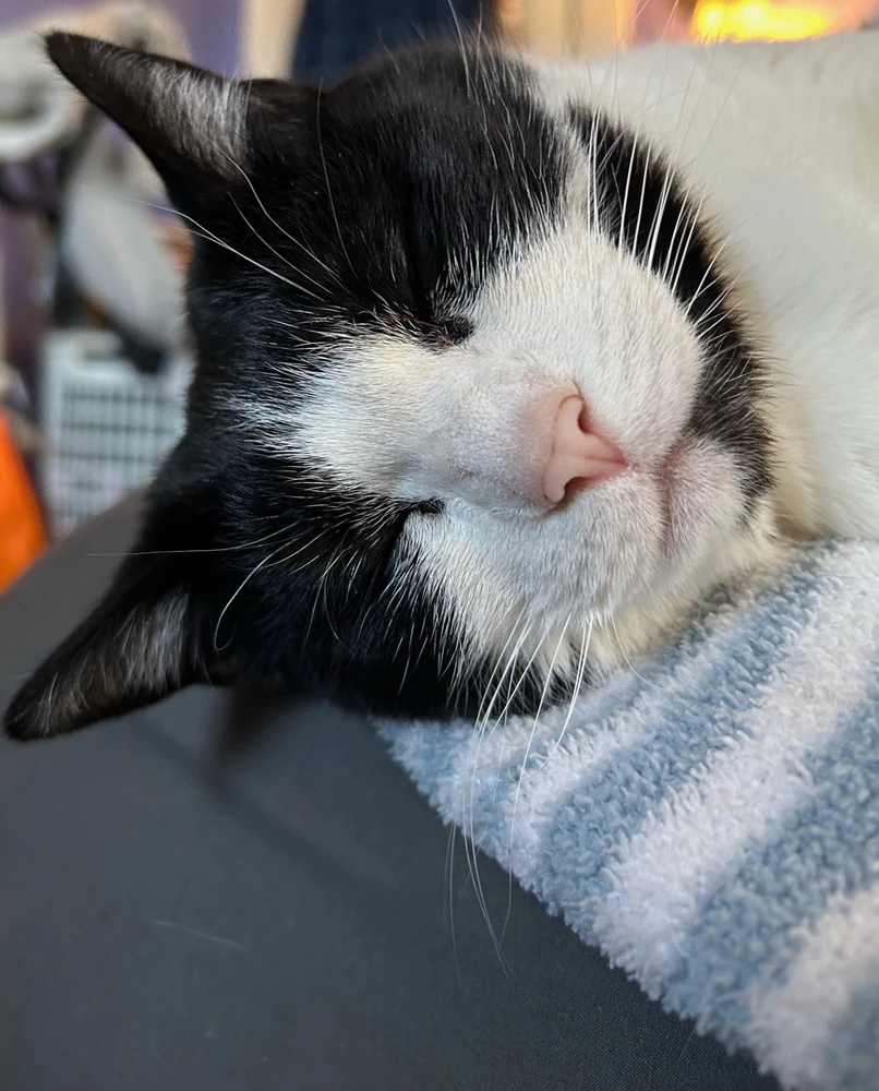 Image uploaded by Tate