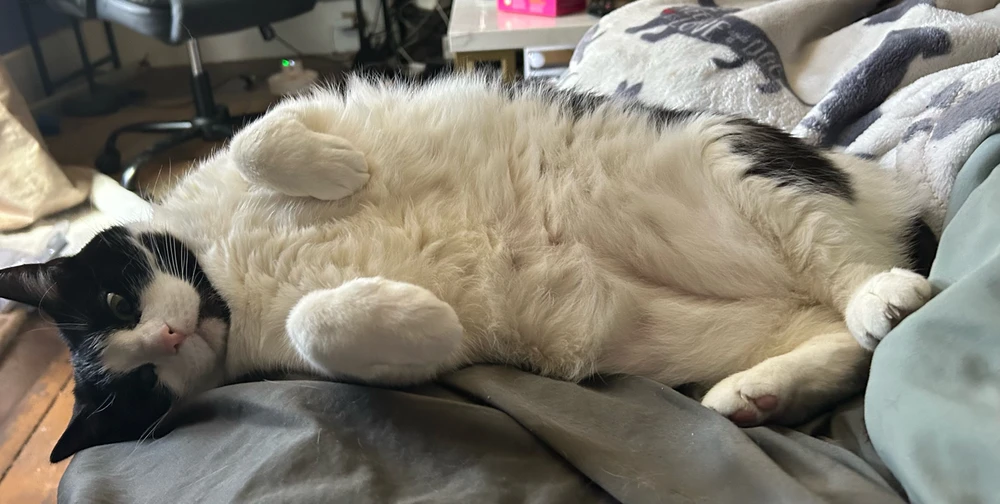 Image uploaded by Tate