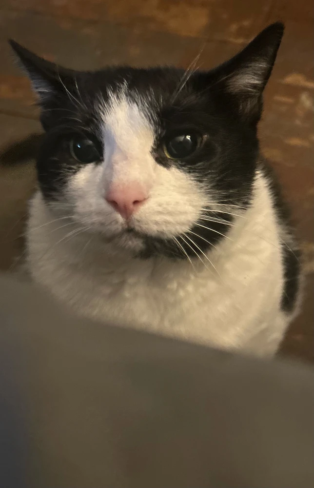 Image uploaded by Tate