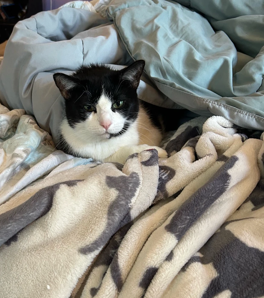 Image uploaded by Tate