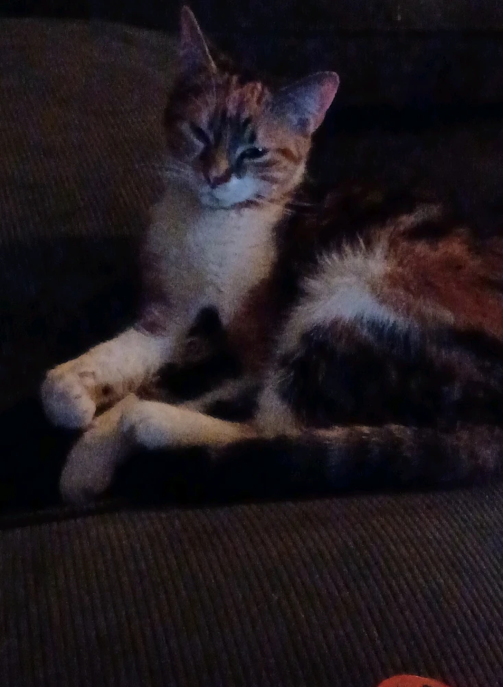 GIF geüpload door Melvin