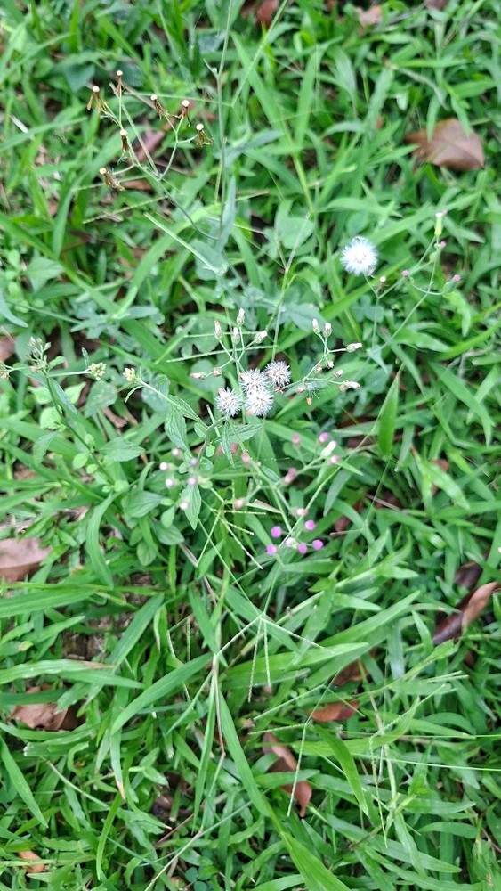 GIF uploaded by Yanna