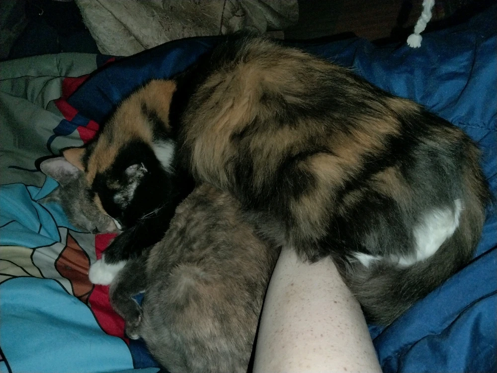 GIF uploaded by Alex