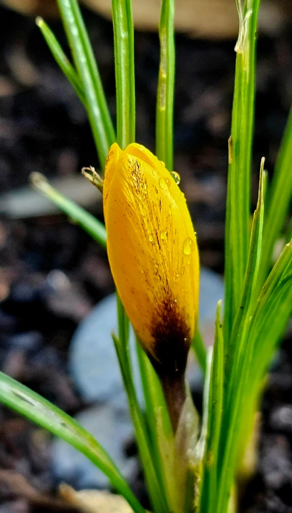 GIF uploaded by Richard