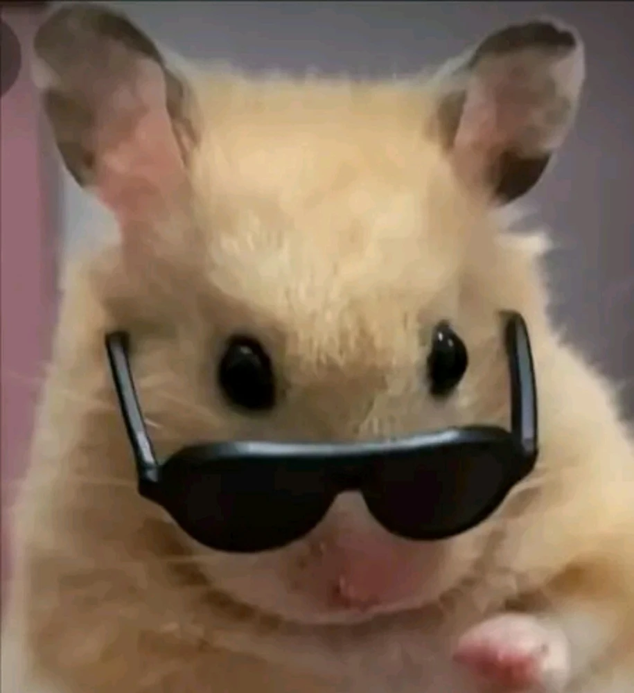 GIF uploaded by 𝓢𝓮𝓻𝓮𝓷 • 𝓢𝓮𝓻𝓮𝓷𝓭𝓲𝓹𝓲𝓽𝔂