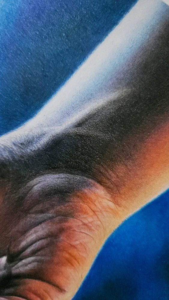 Immagine caricata da Claudio