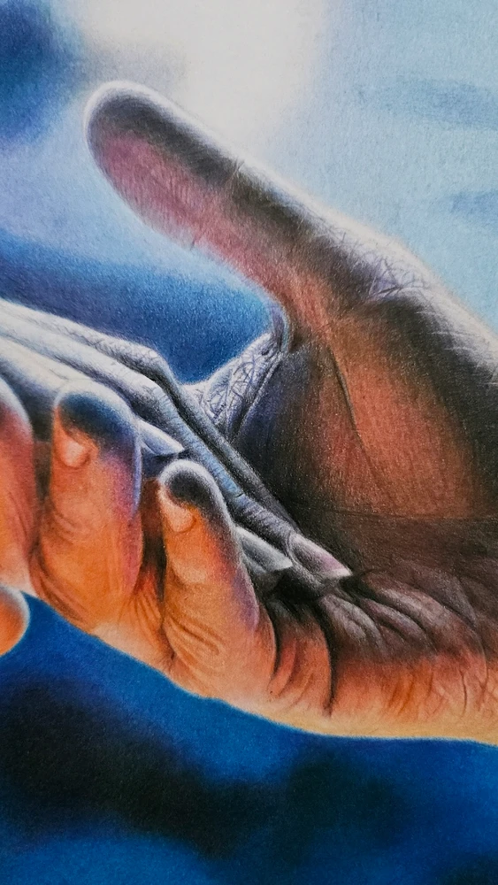 Immagine caricata da Claudio