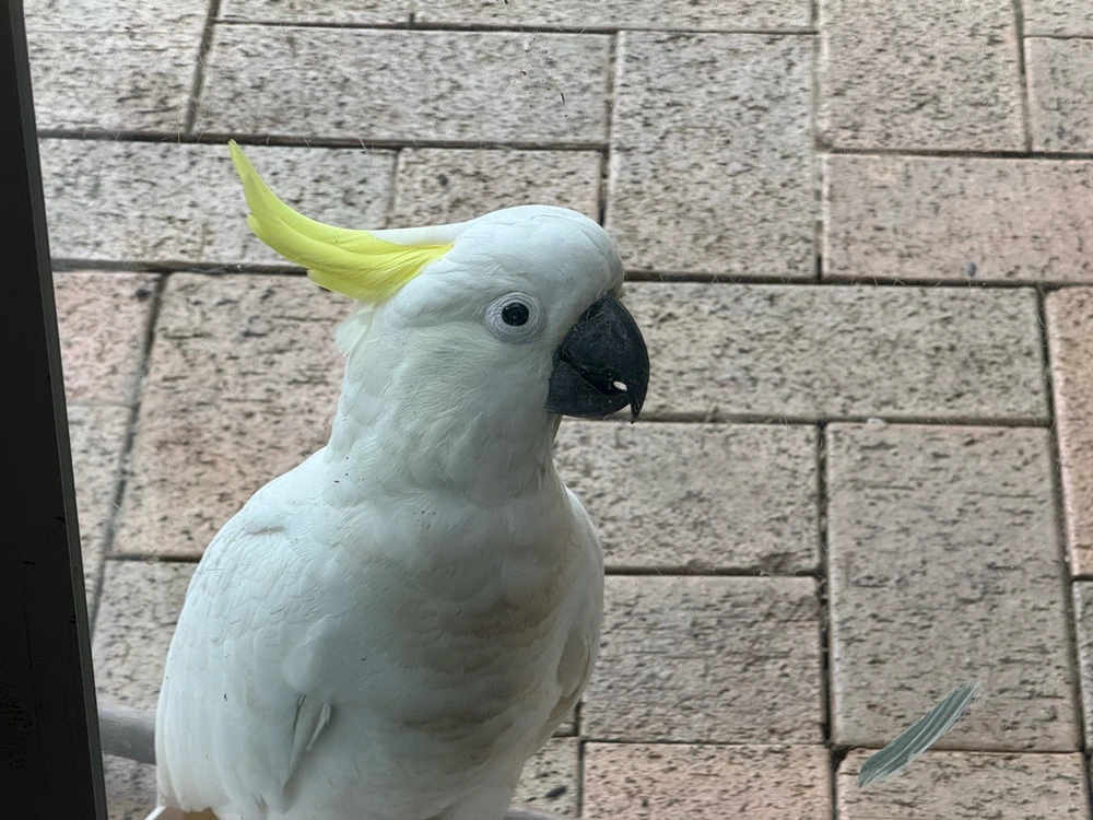 GIF uploaded by Nathan