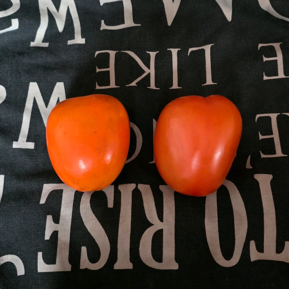 Image uploaded by A༗🂡⏳