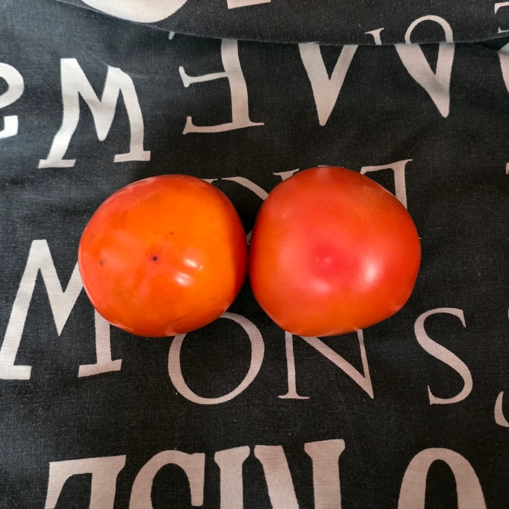 Image uploaded by A༗🂡⏳