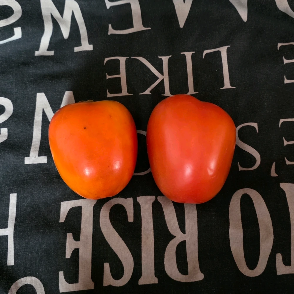 Image uploaded by A༗🂡⏳